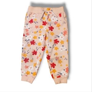 ♥️ 4 for $25 ♥️ #V Dip Floral Girls Sweat Pants Peach Pink 2T Toddler Joggers